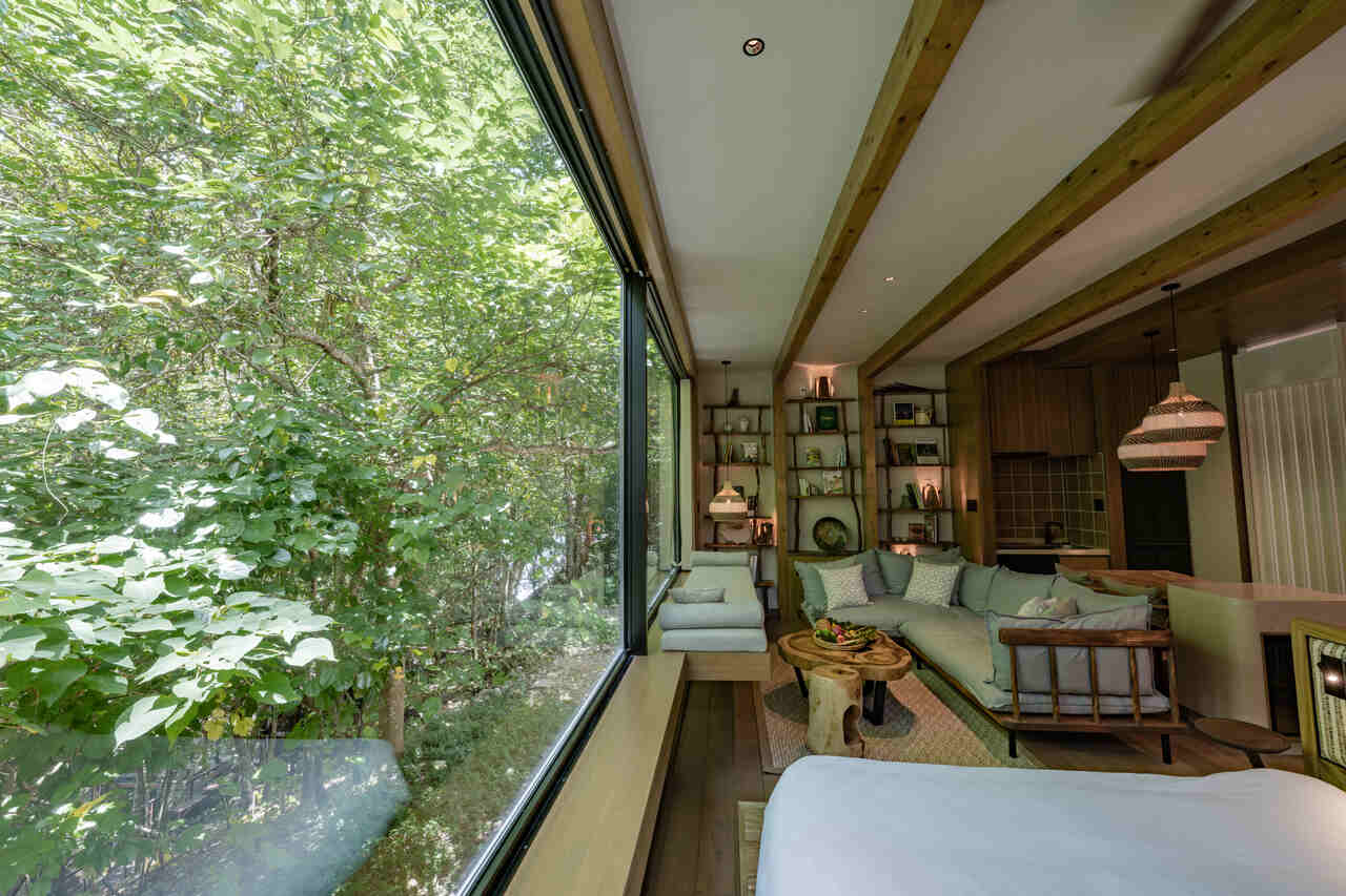 resort sostenible casa de arbol