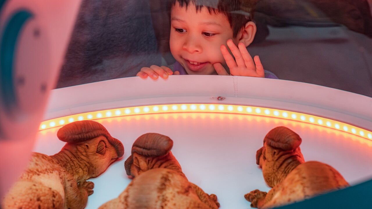 exposición en familia