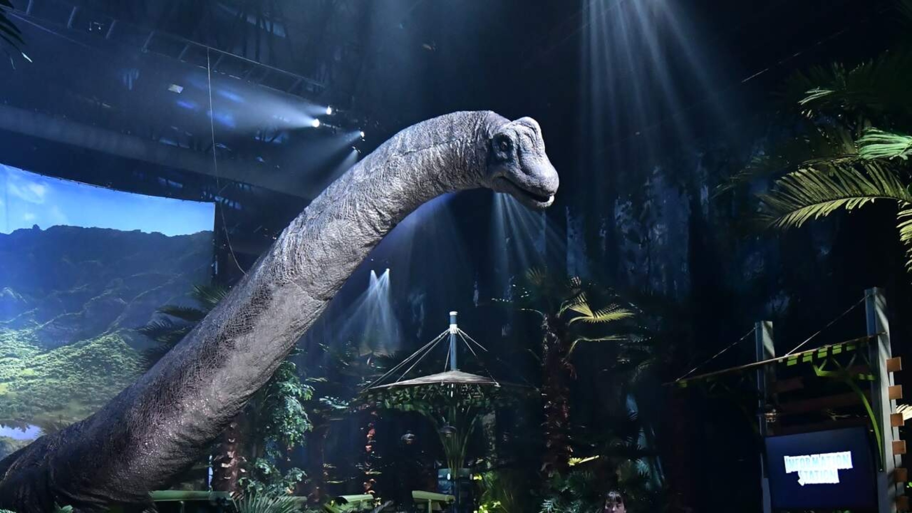dinosaurios expo