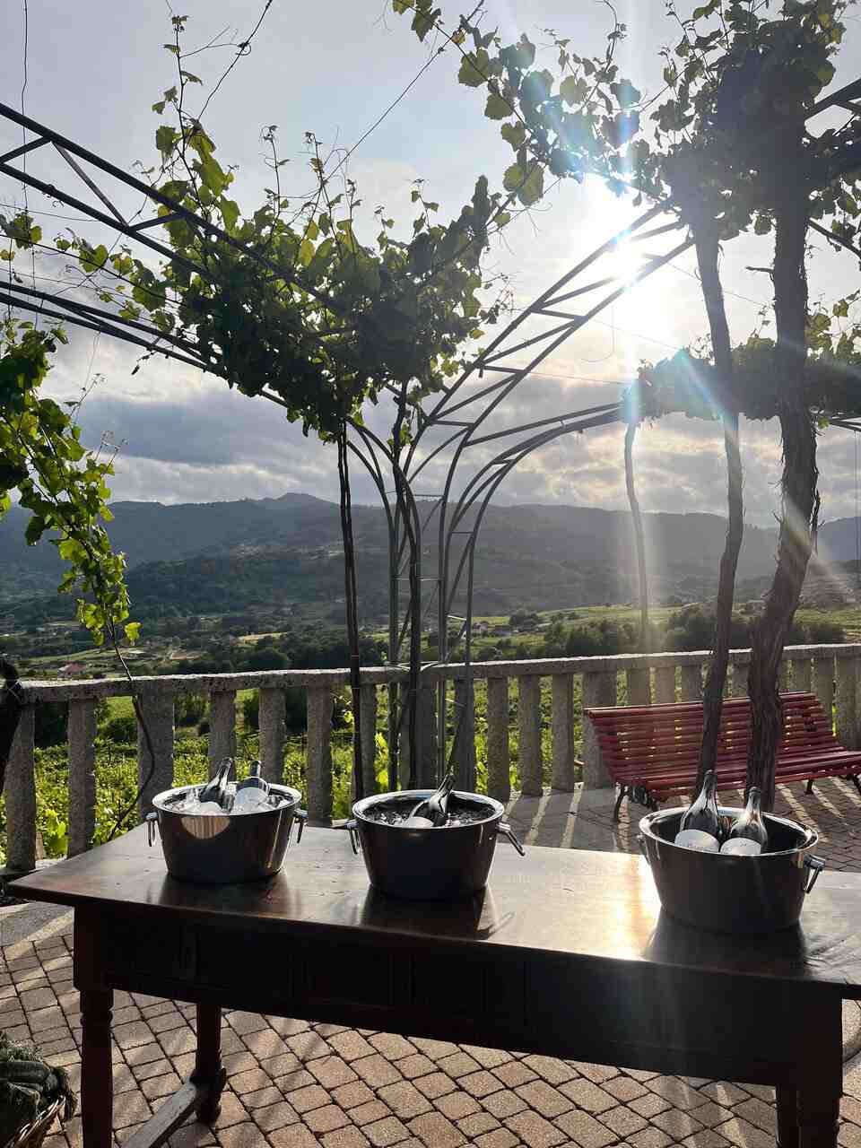 cata de vinos A Vilerma