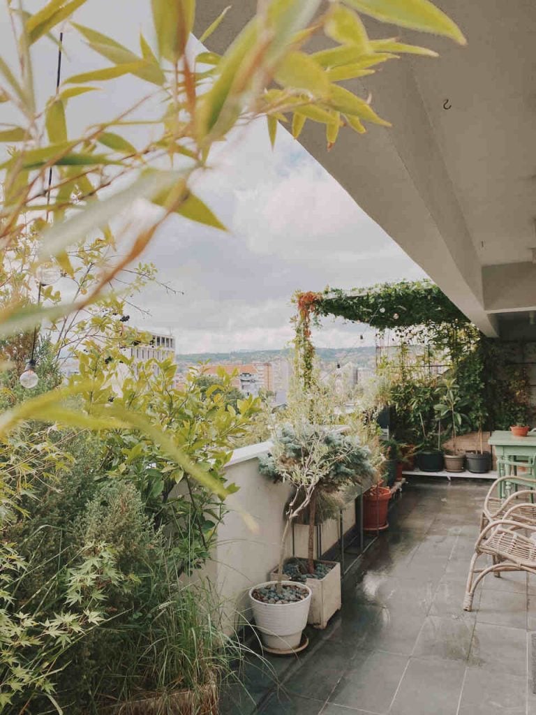 vegetacion terraza oasis urbano