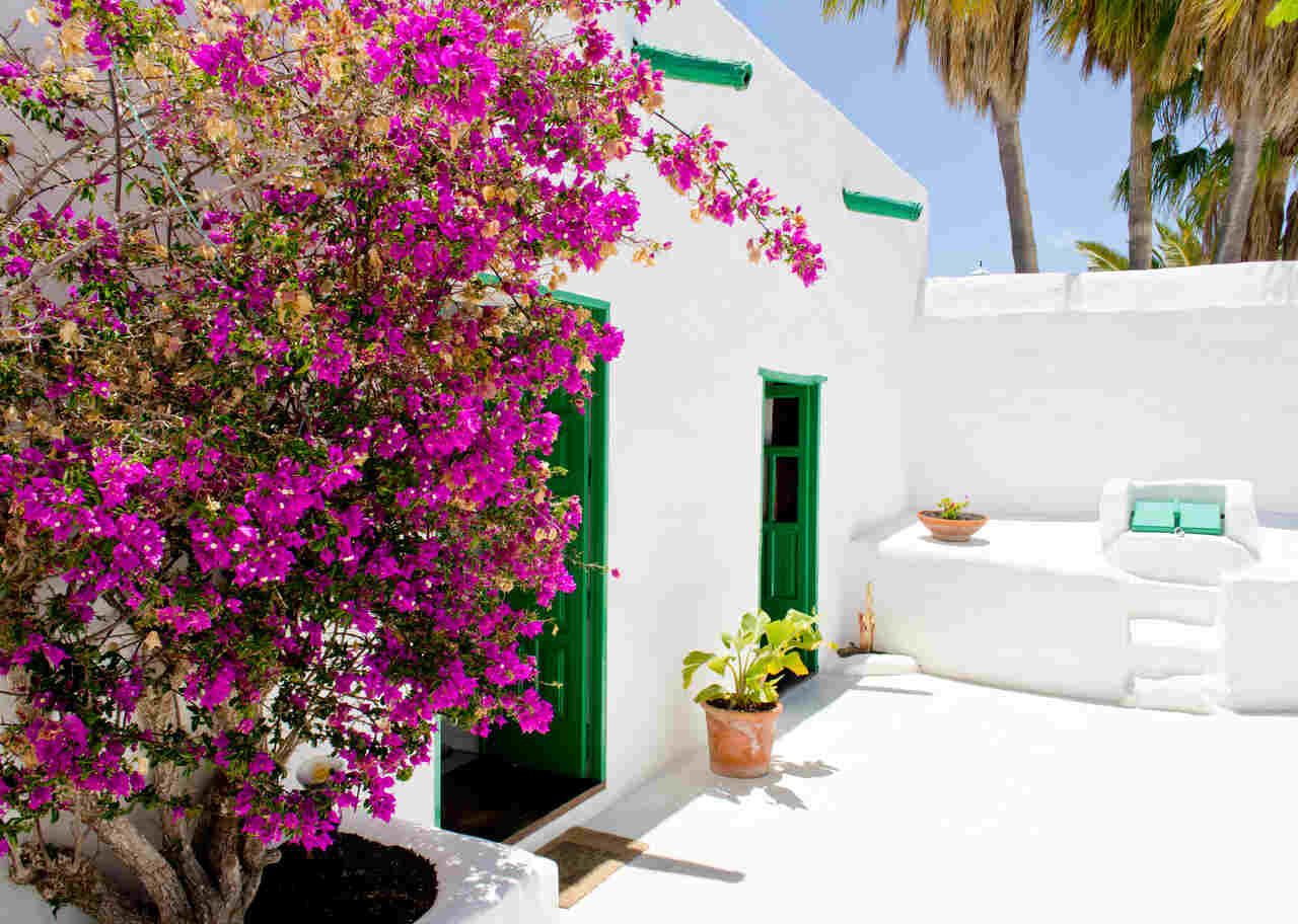 buganvillas terraza oasis urbano