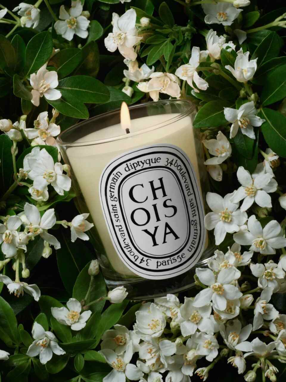 velas regalar