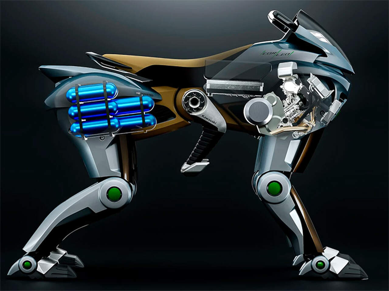 kawasaki caballo