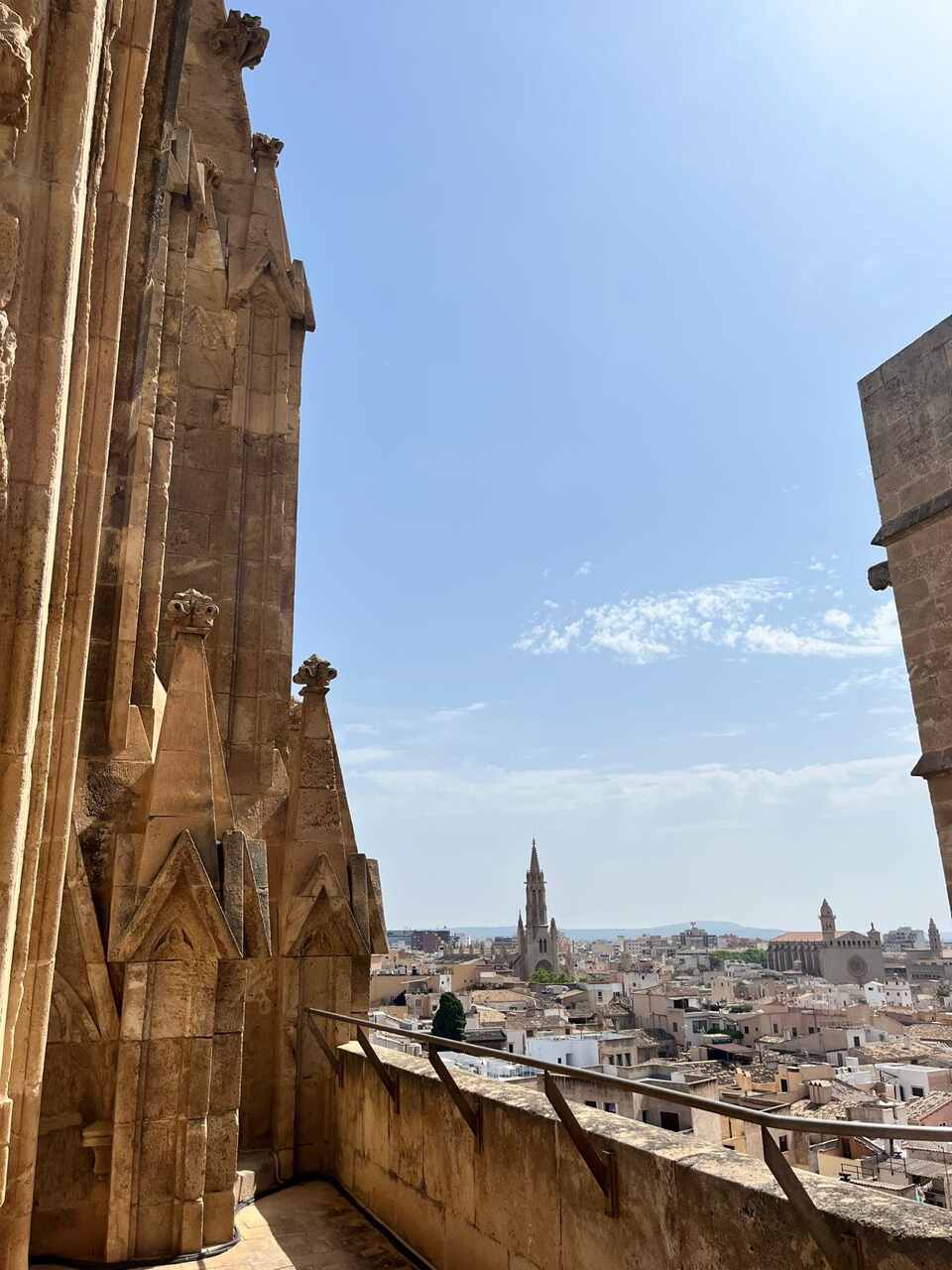 terraza catedral palma de mallorca
