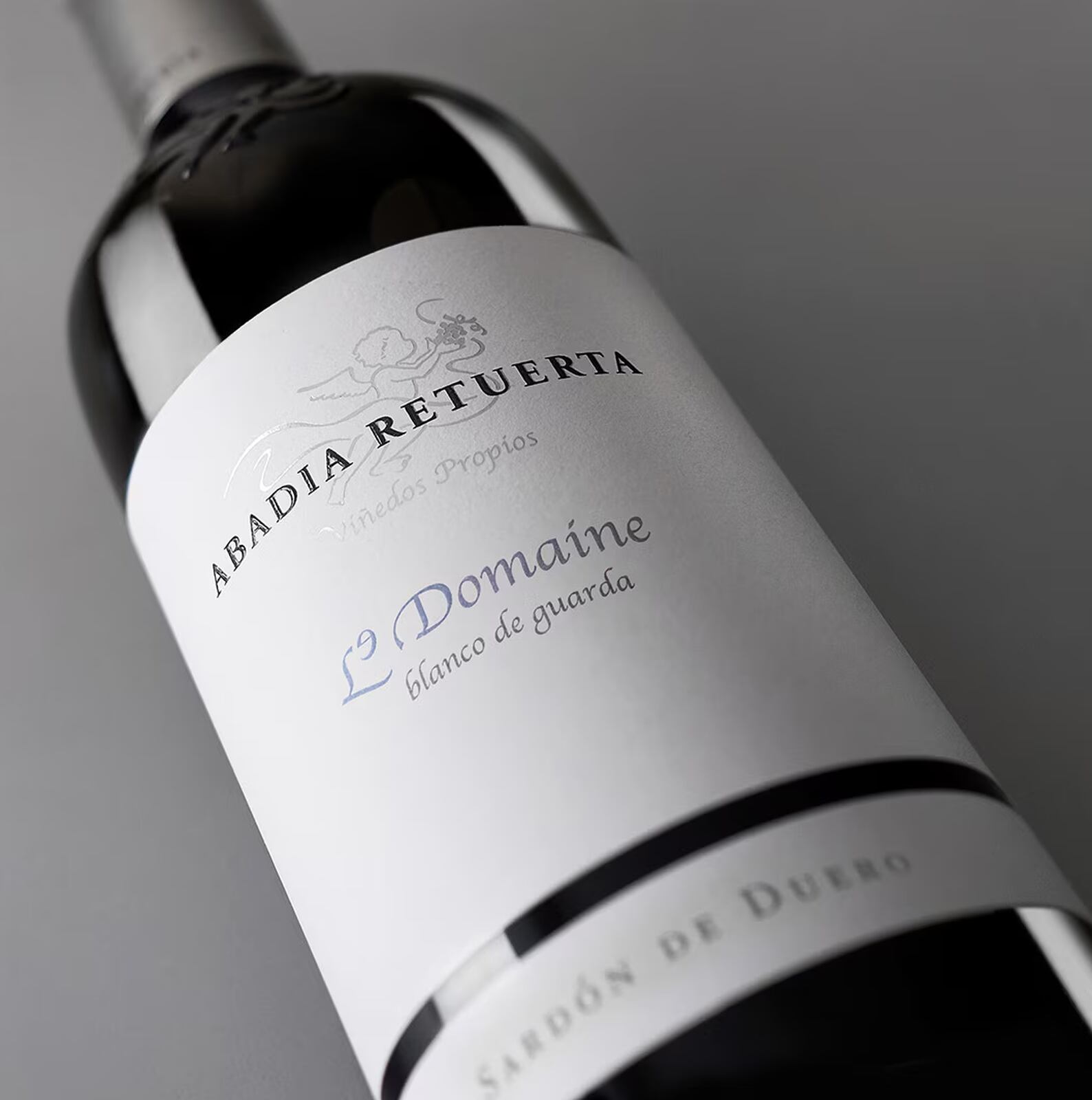 Vino de Abadía Reruerta para un picnic en El Retiro