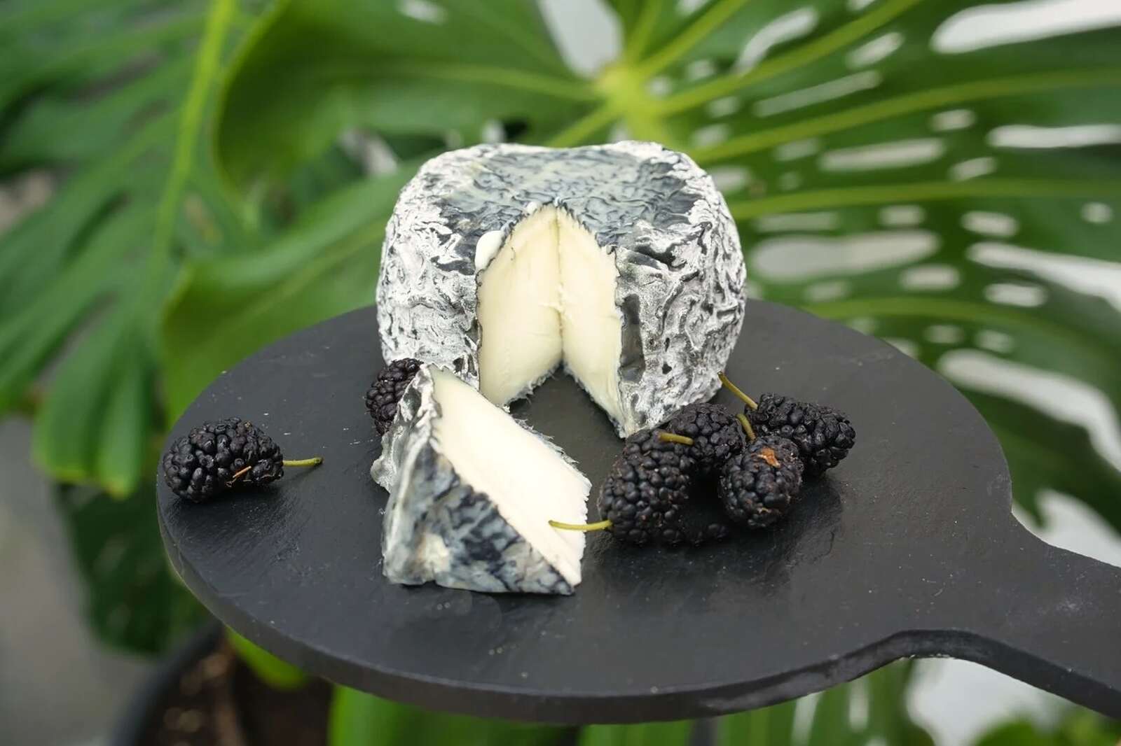 Queso para hacer un picnic en El Retiro