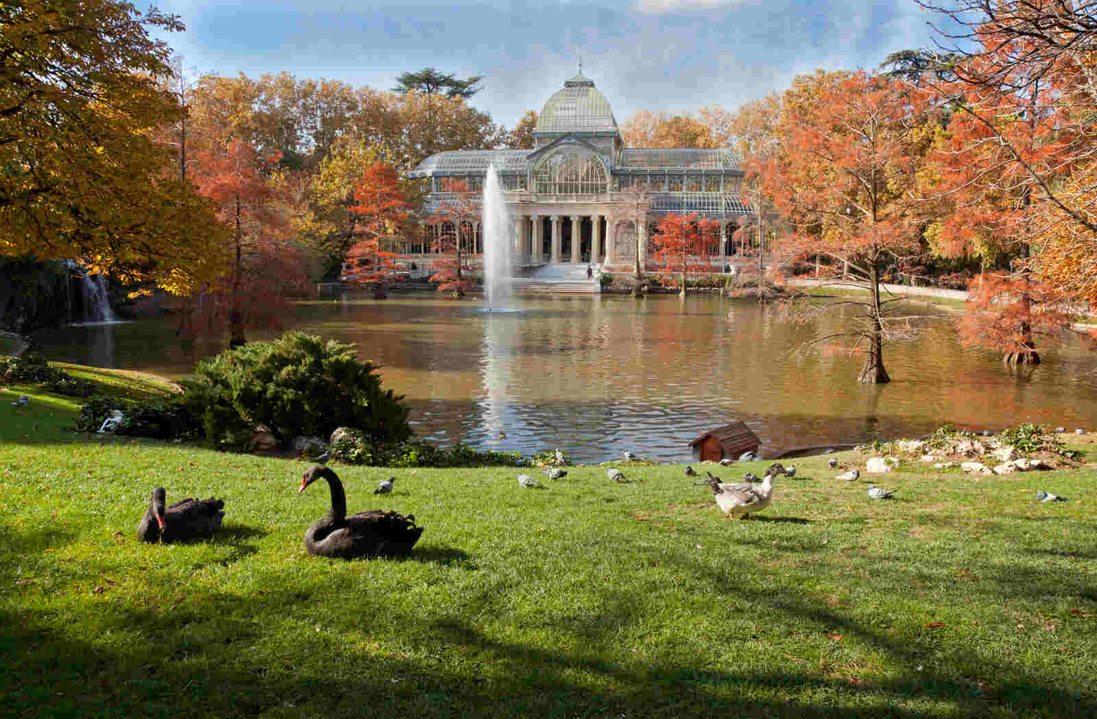 Lago de El Retiro para hacer un picnic
