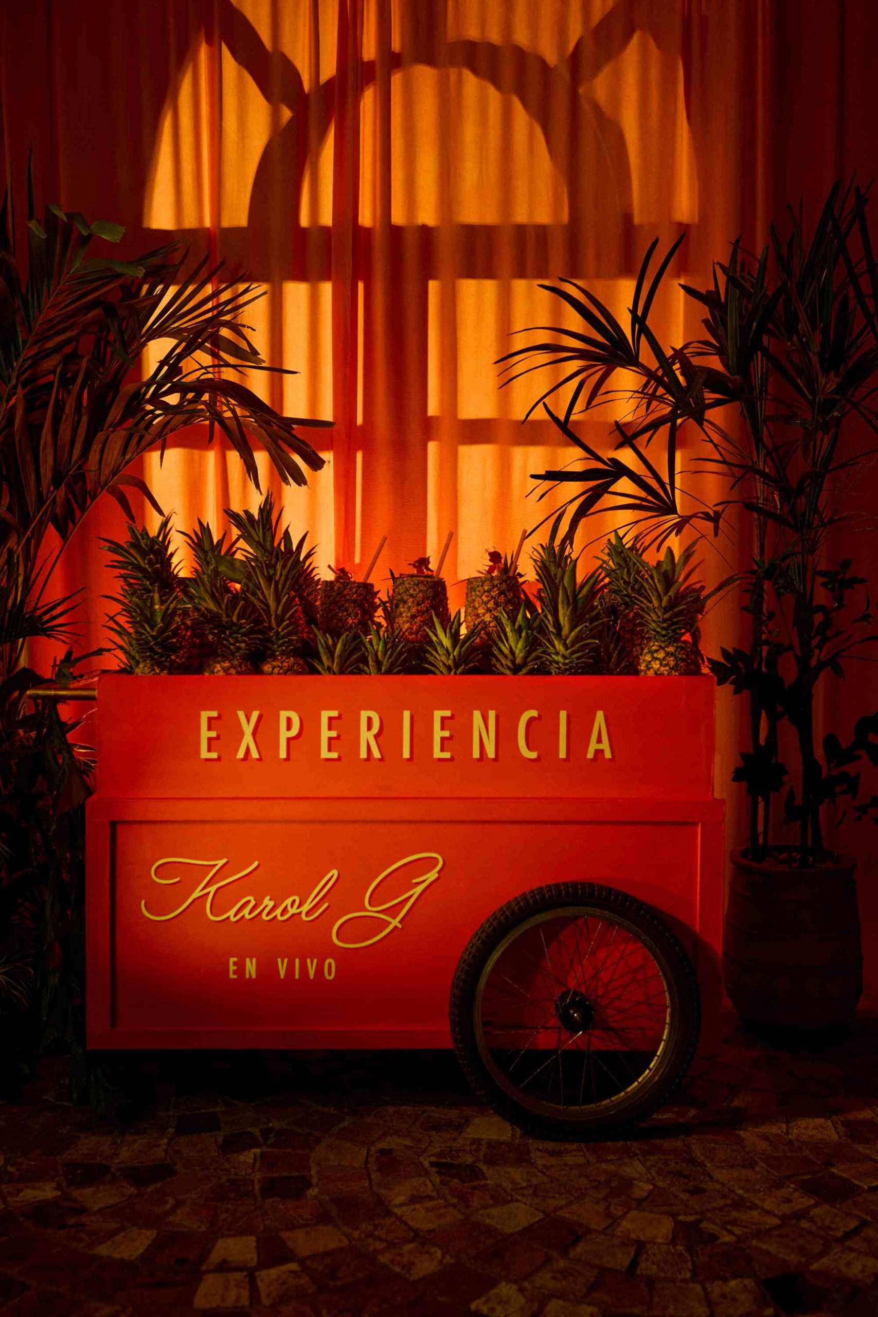 Experiencia de Karol G en Medellín con Airbnb