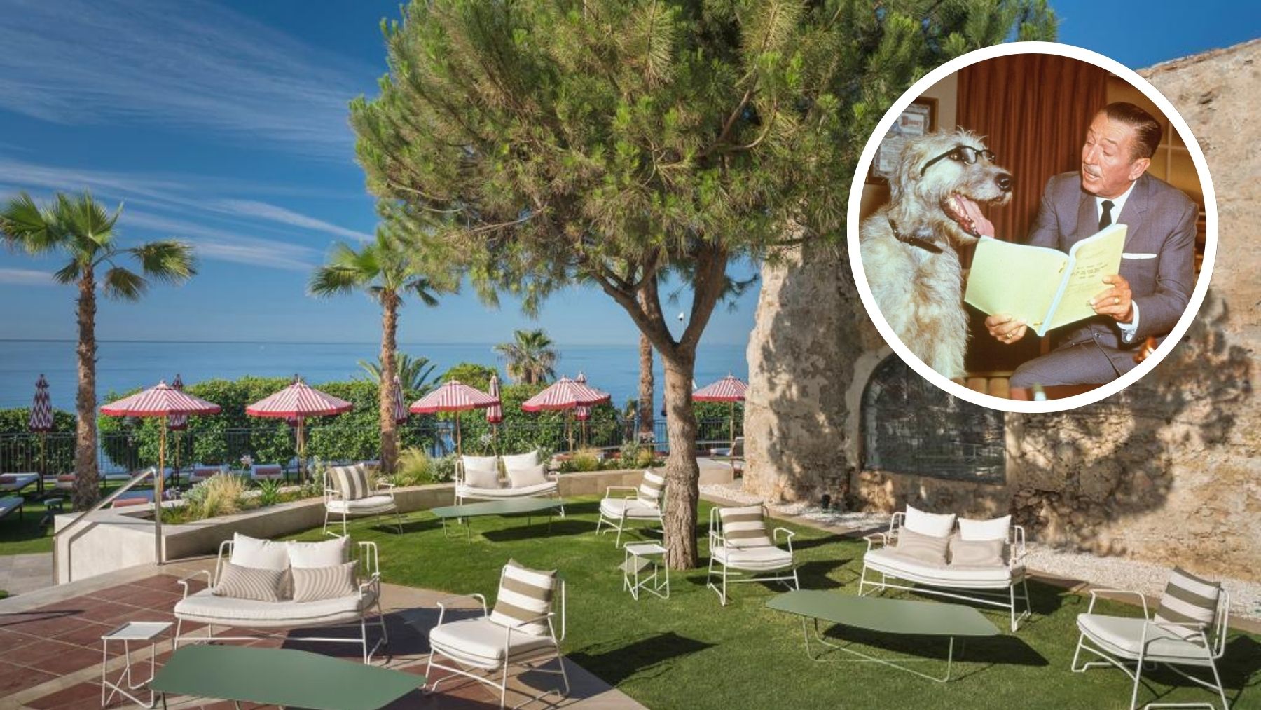 Walt Disney y Pluto veraneaban en Marbella y se alojaban en la habitación 208 de este hotel 5 estrellas