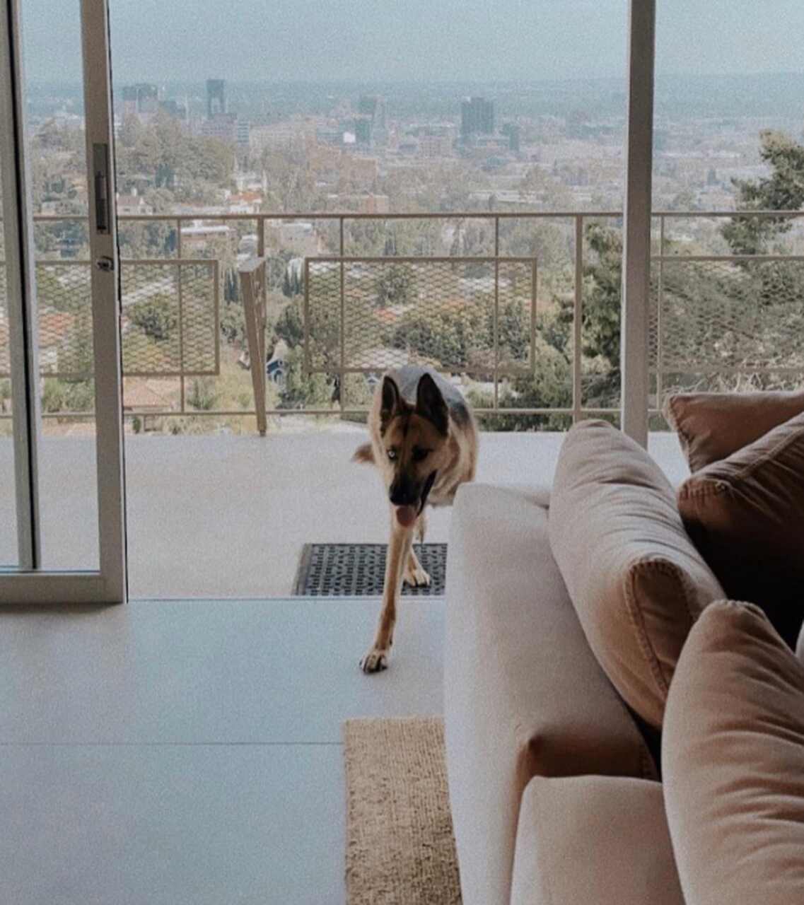 Casa Los Ángeles Pedro Pascal