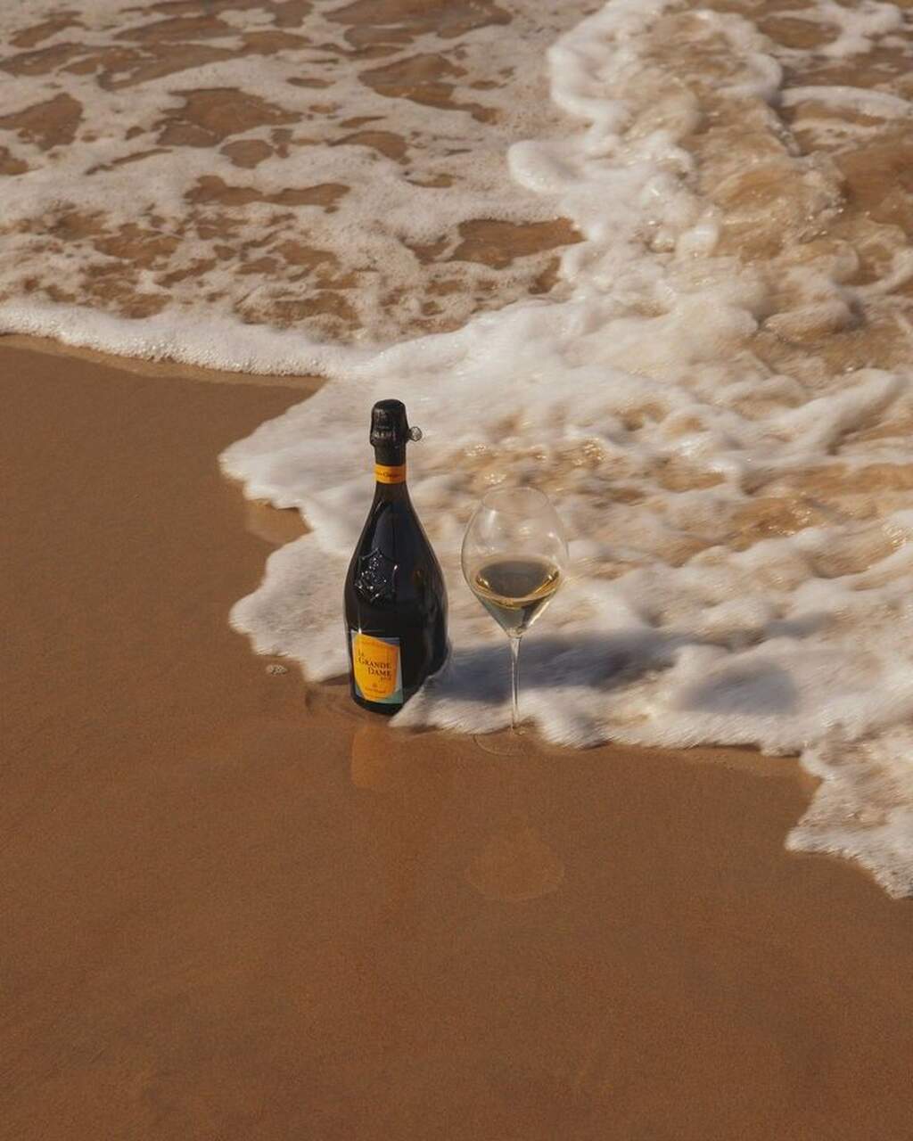 chamapan y cava