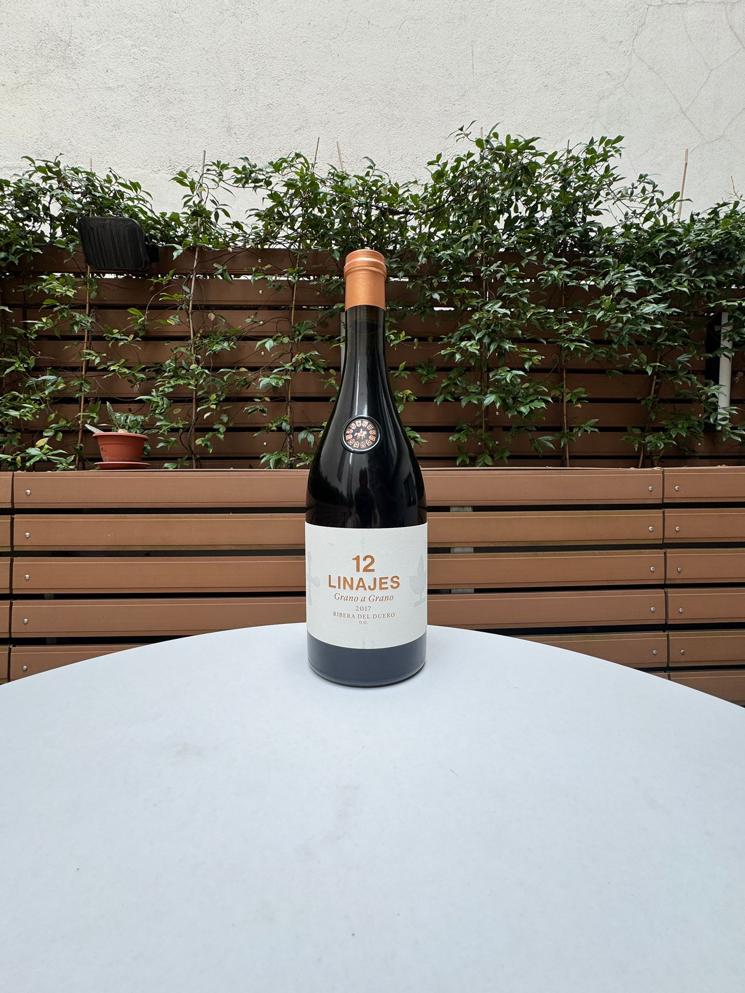 bodegas españolas