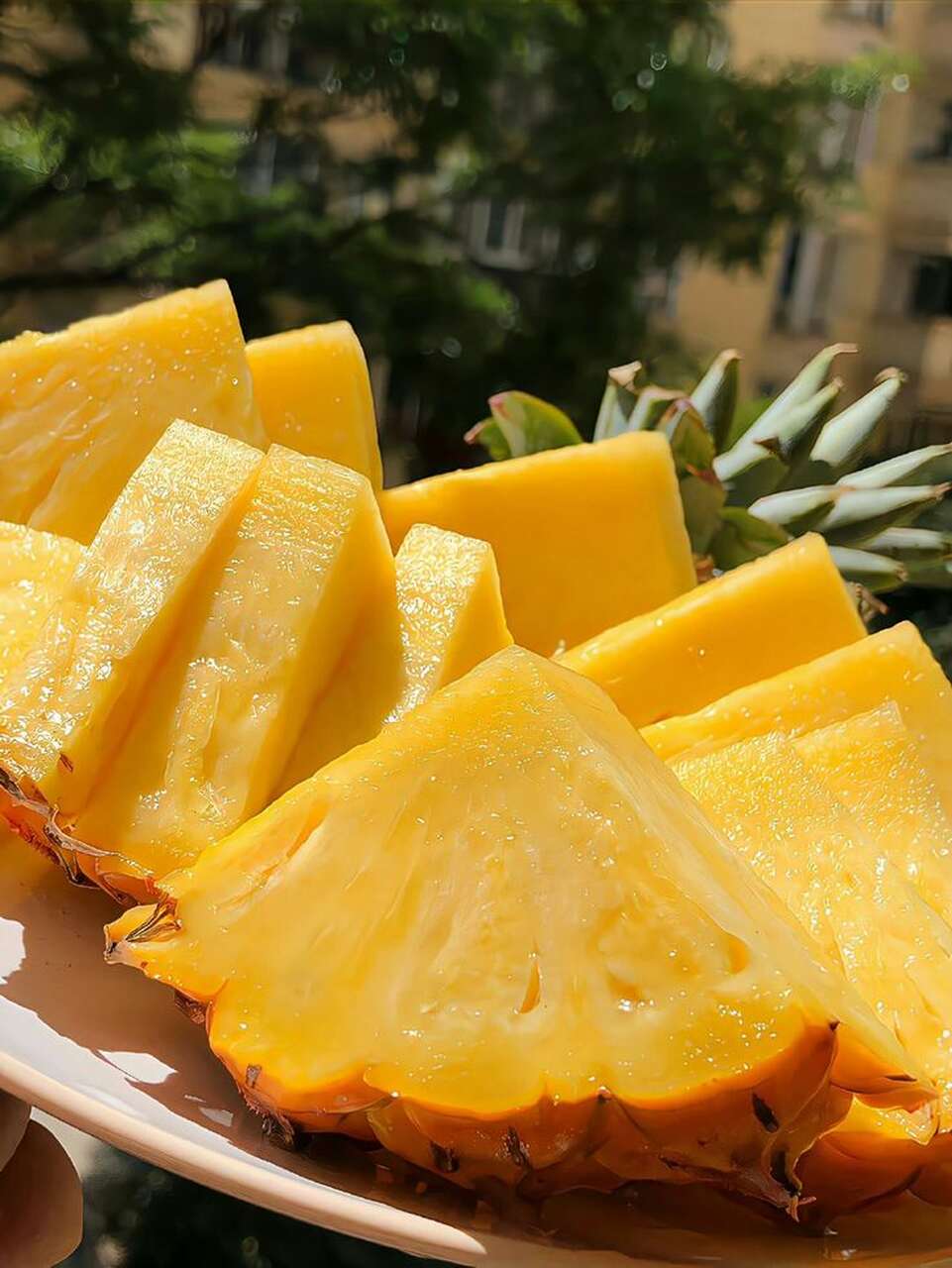 recetas verano