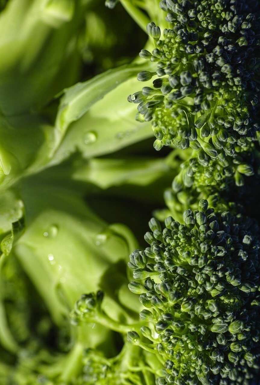recetas saludables