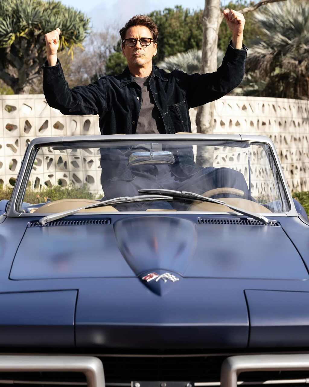 propiedades de Robert Downey JR