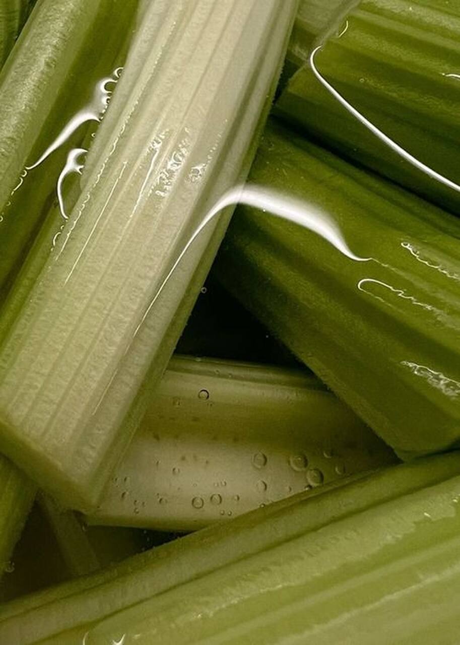alimentos