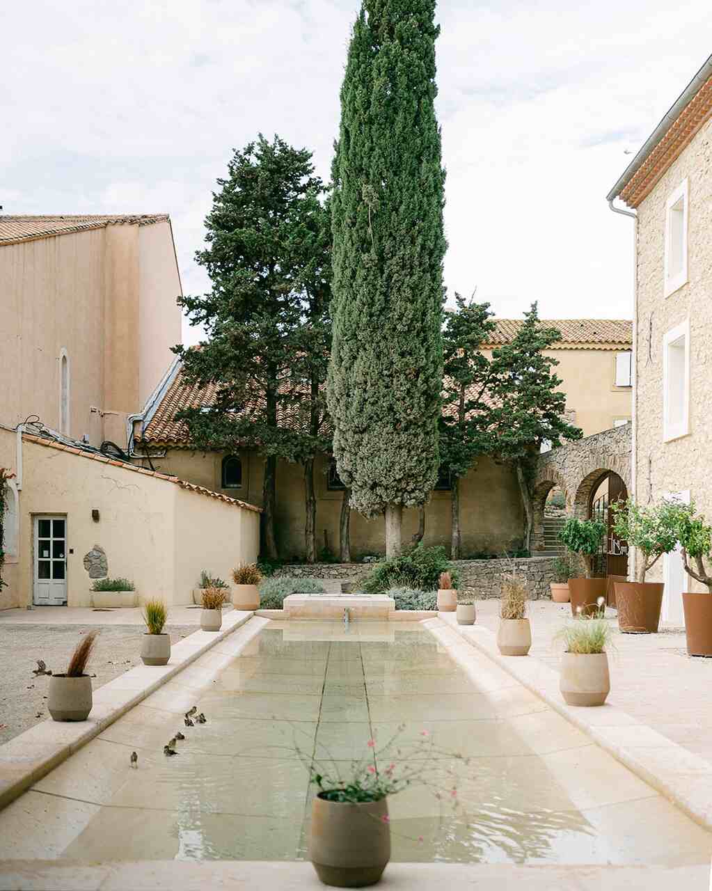 enoturismo francia