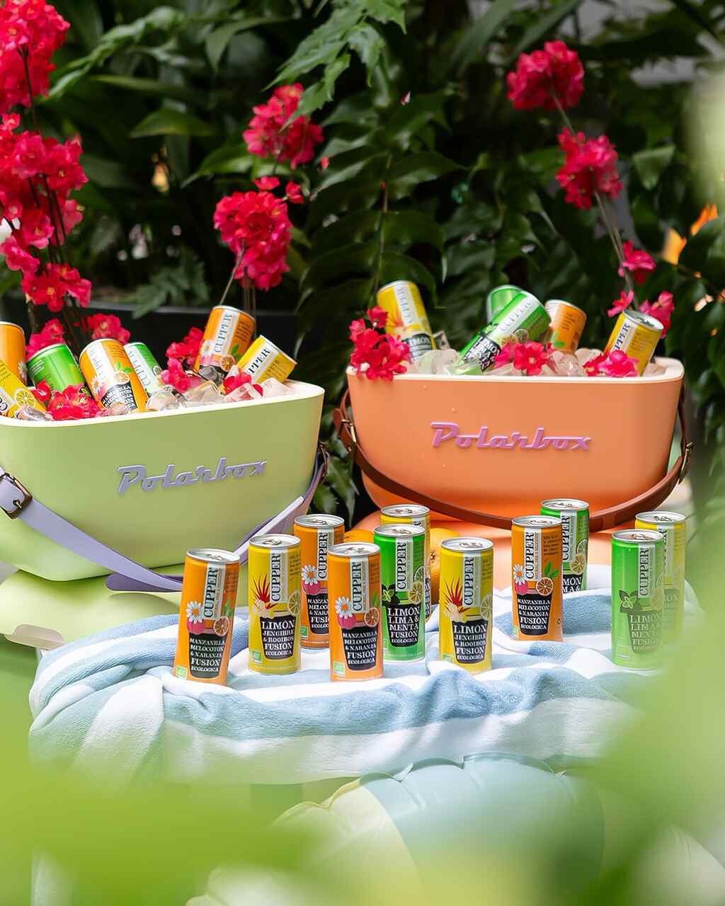 bebidas refrescantes