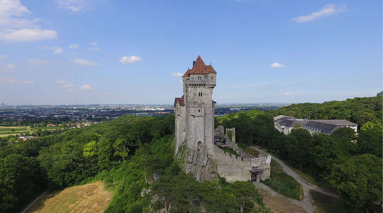 Castillo Familia Real Liechtenstein