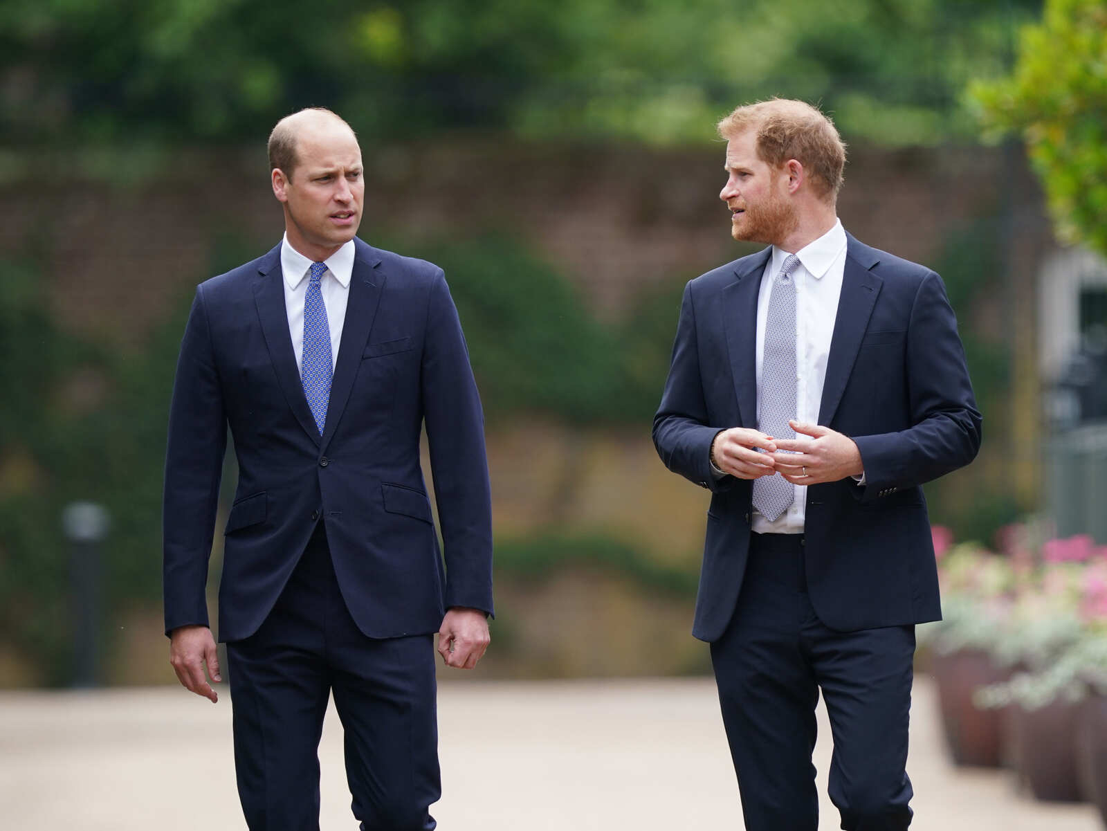 Harry y William paseando