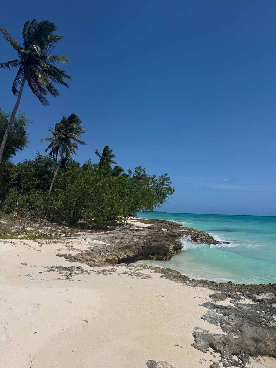 patricia conde republica dominicana hotel