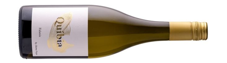 El verano en una copa: vinos que saben a sol, brisa y siesta