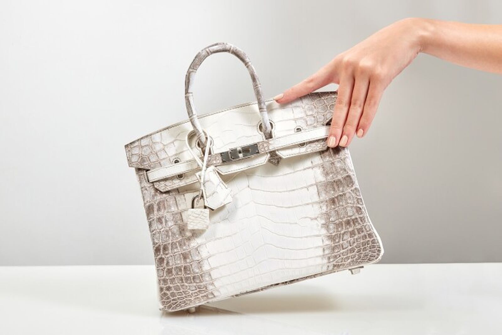 Bolso Birkin Himalaya