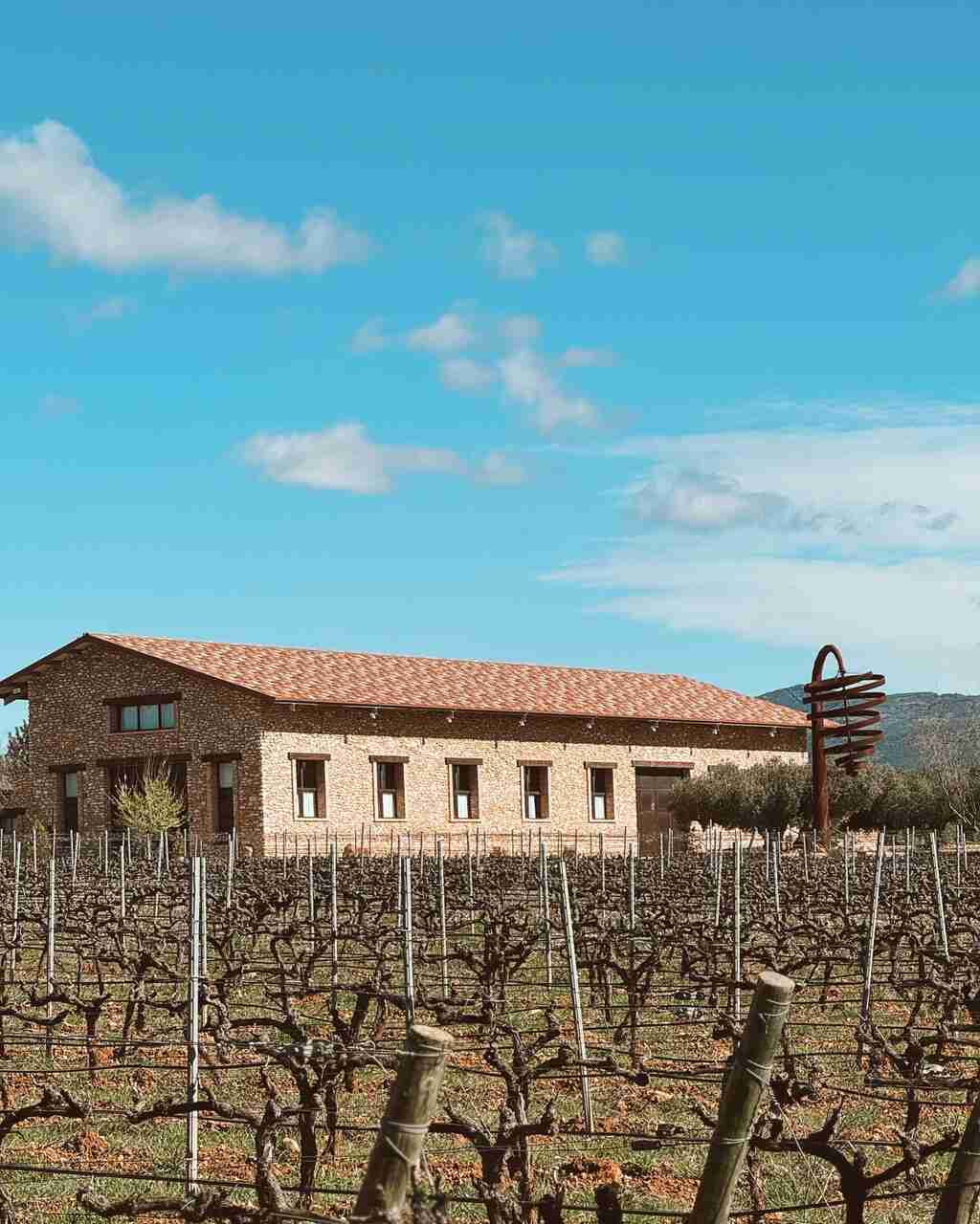 bodega castellon