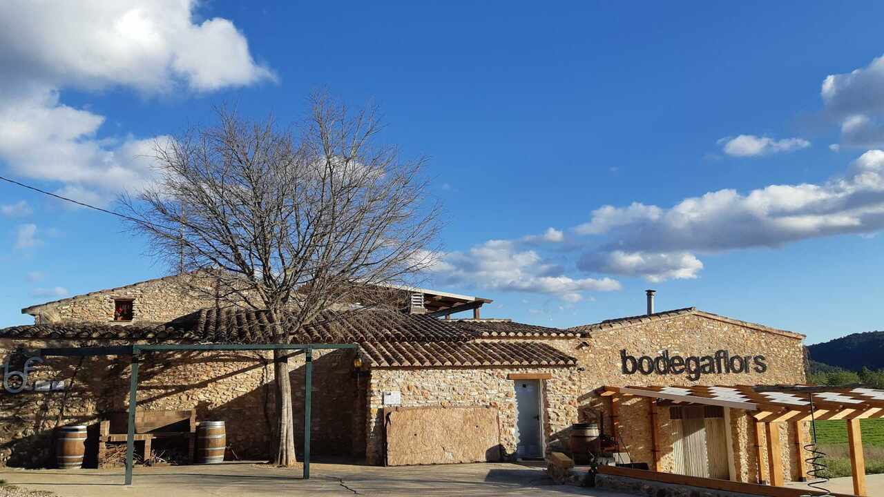 bodega castellon