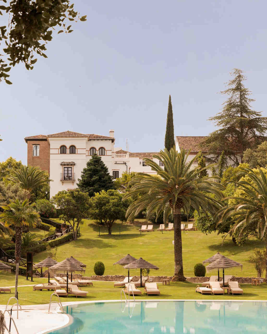 hotel malaga pet friendly