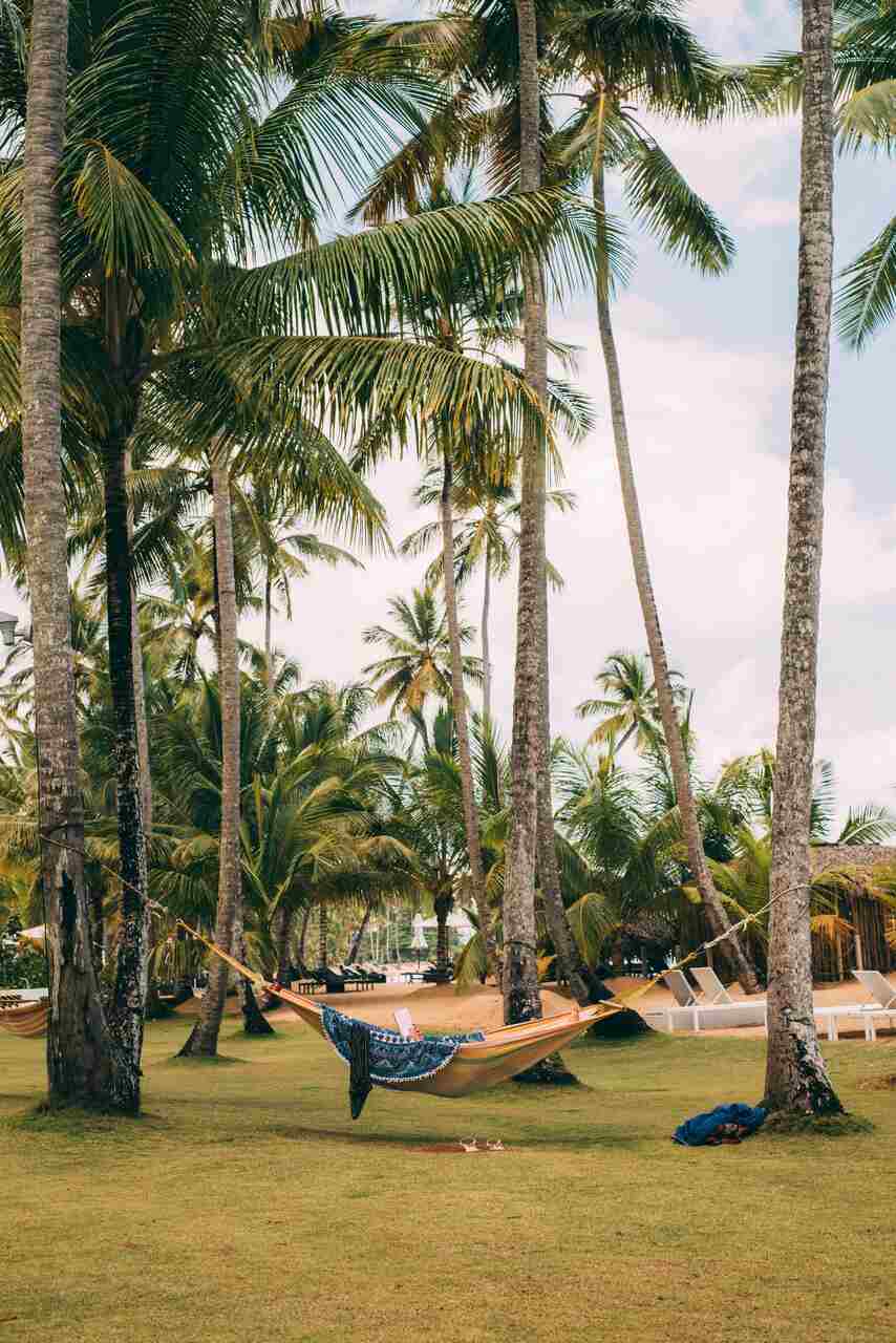 playa paisaje republica dominicana gastroturismo