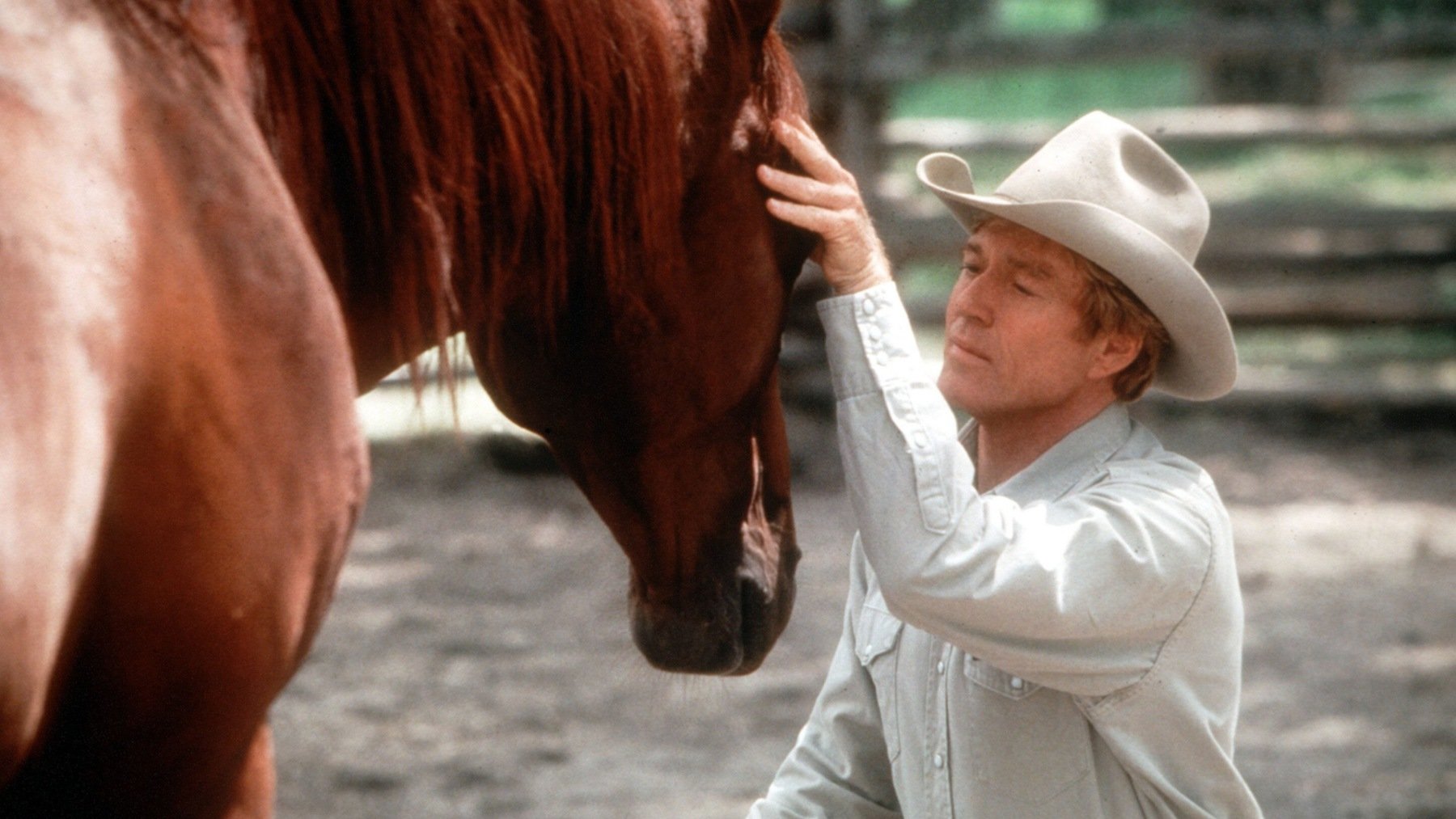 Robert Redford