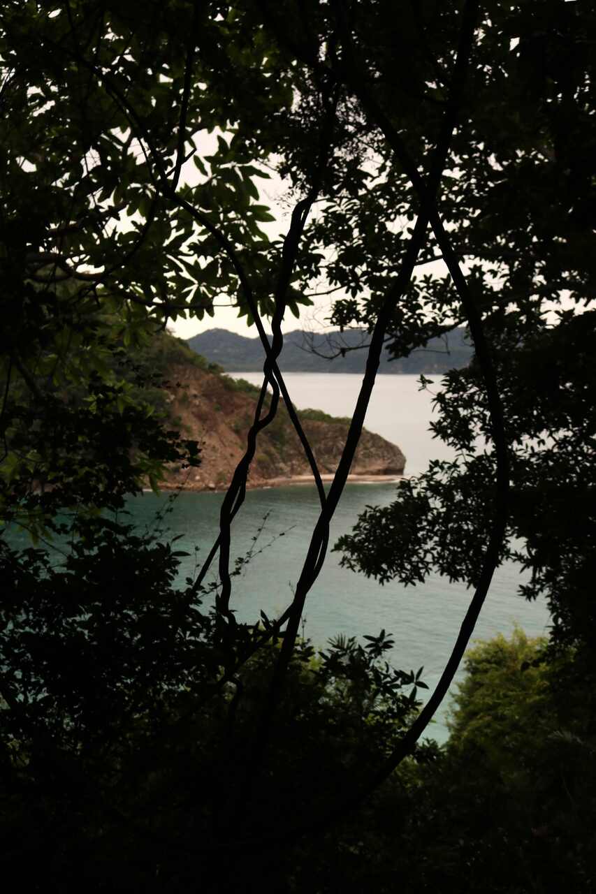 Isla Costa Rica naturaleza