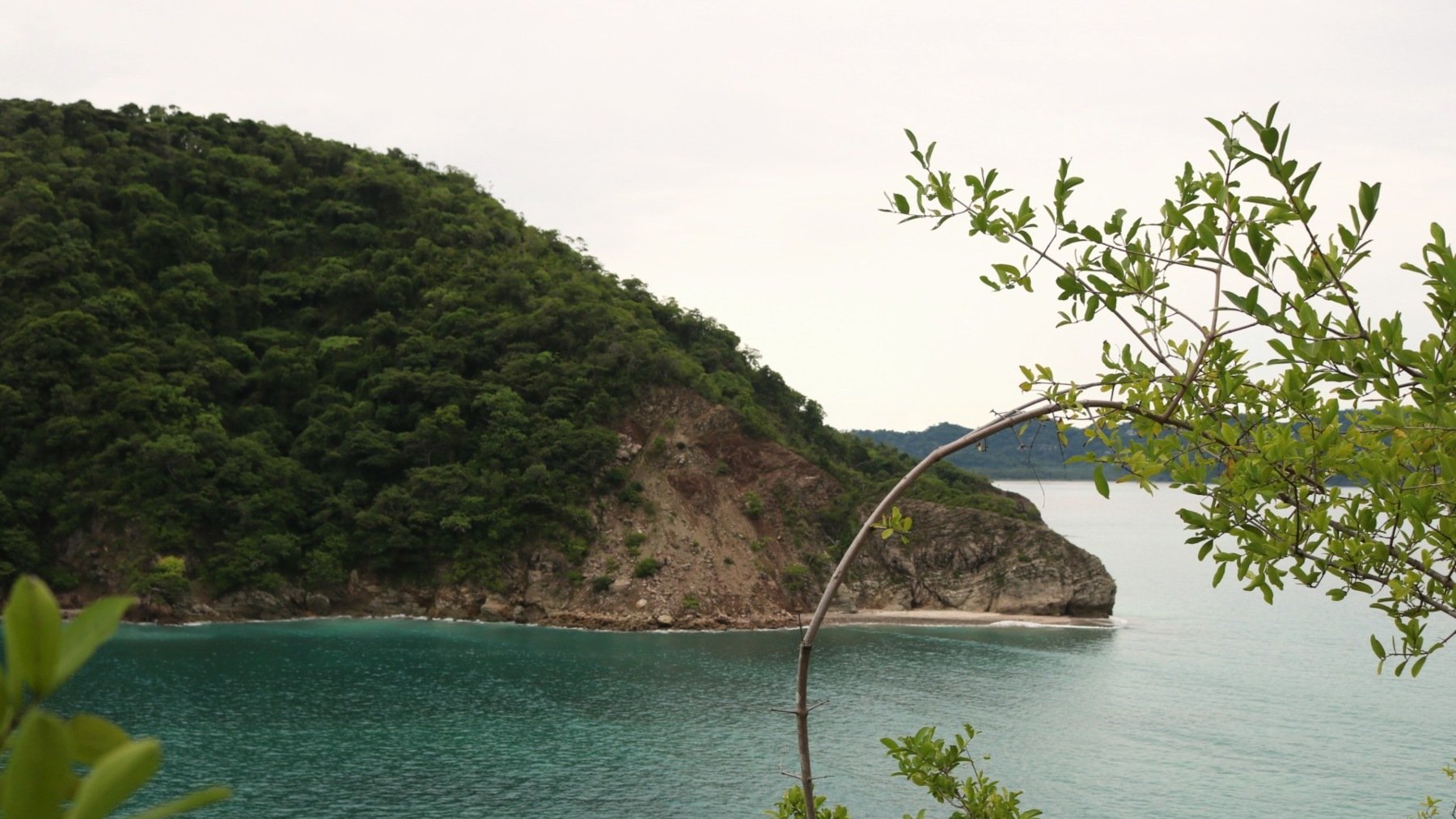 Isla Costa Rica naturaleza