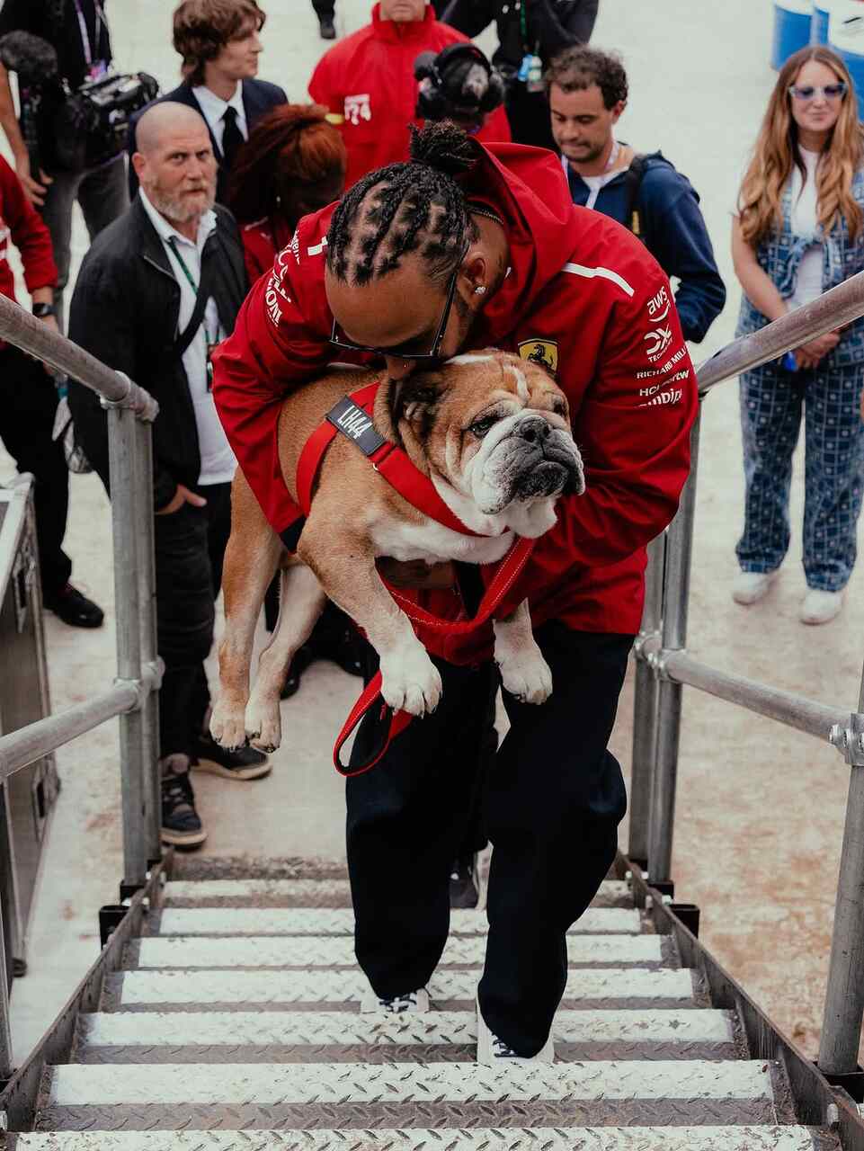 lewis hamilton roscoe