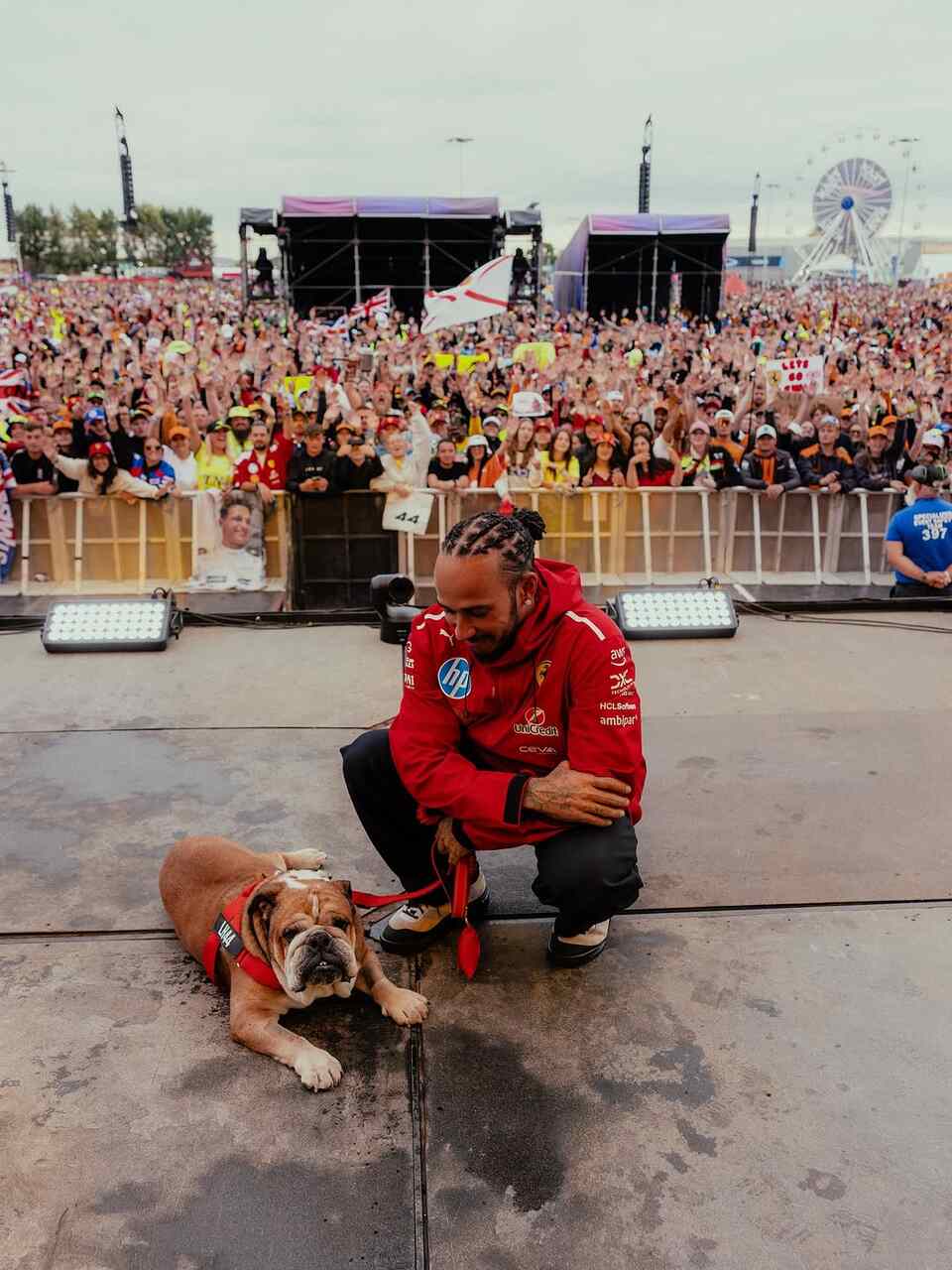 lewis hamilton roscoe perro
