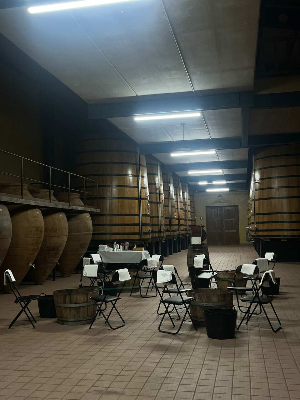 vendimia ribera del duero