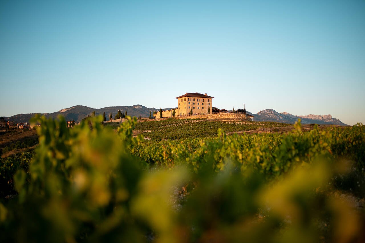 festival del vino