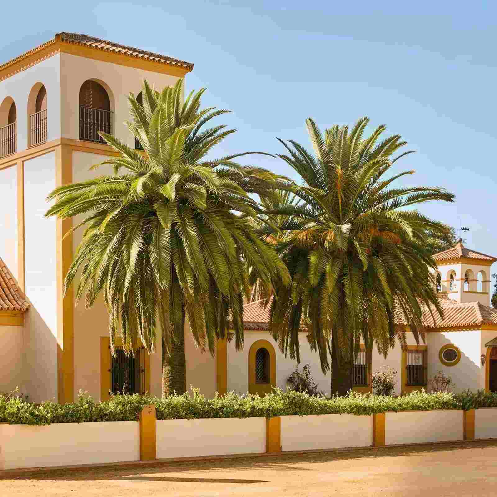 Finca Las Arroyuelas de Cayetano