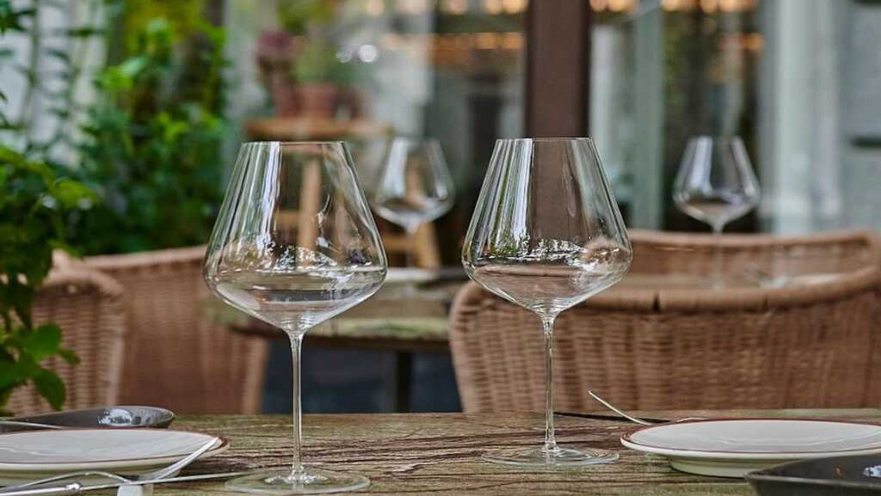 aperitivo desfile