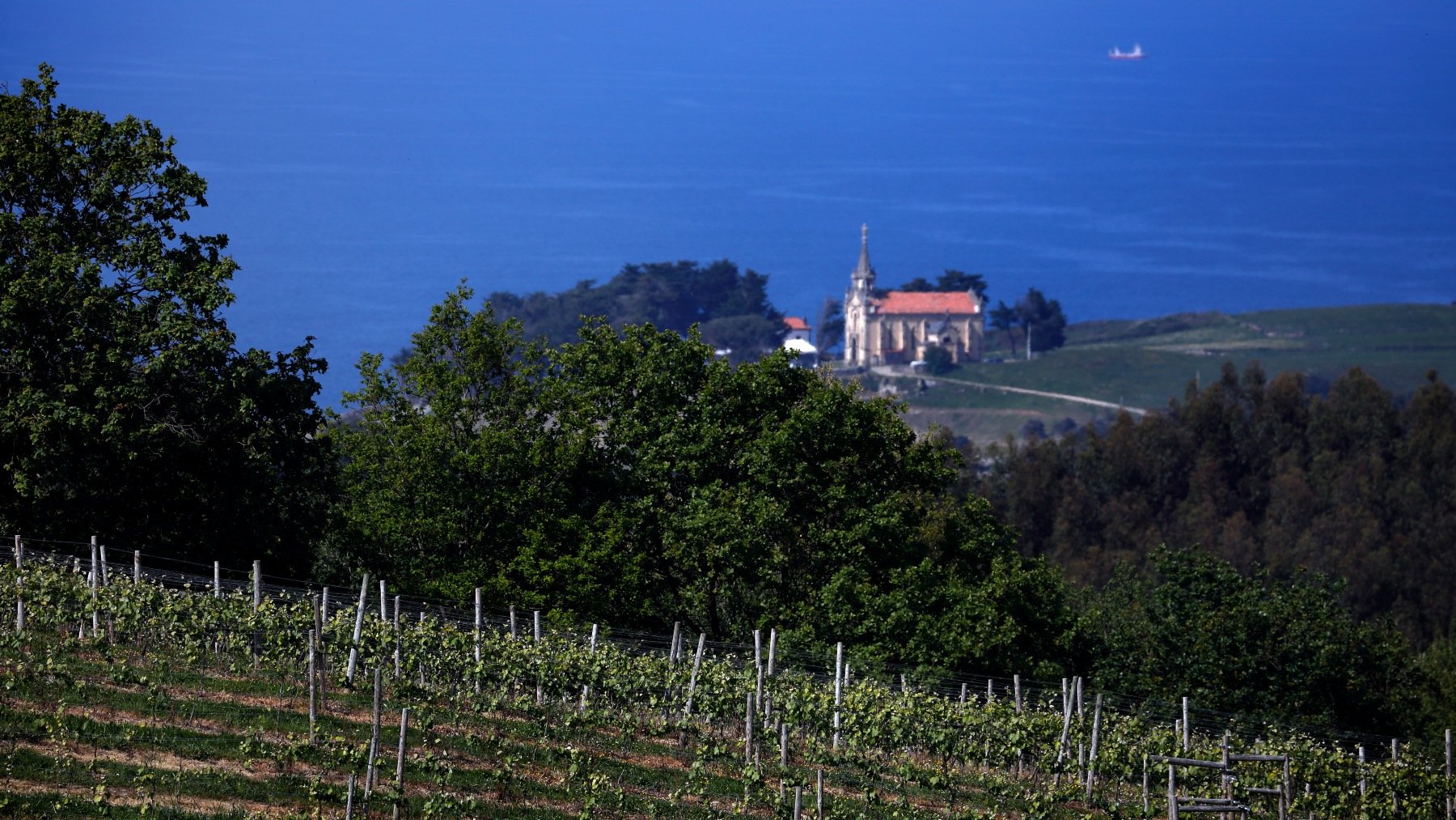 vino Cantabria
