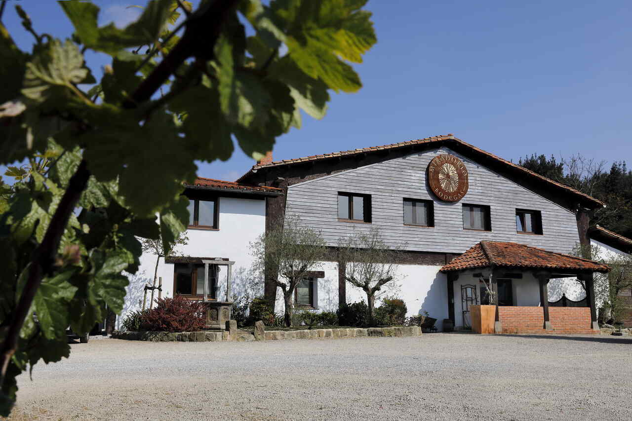 vino Cantabria
