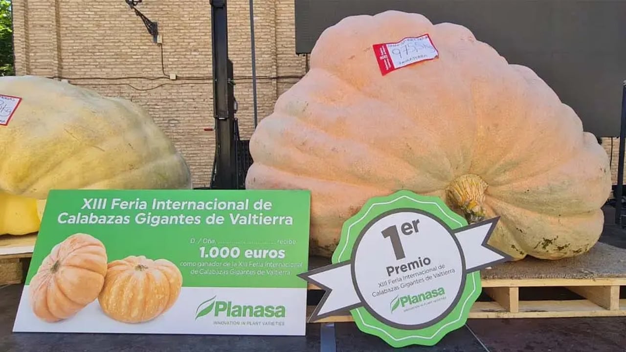 Calabaza, Halloween