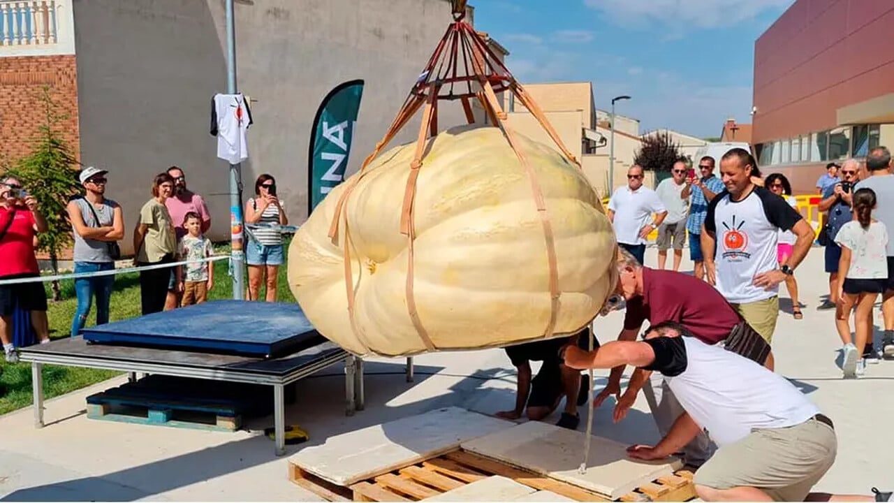 Calabaza, Halloween