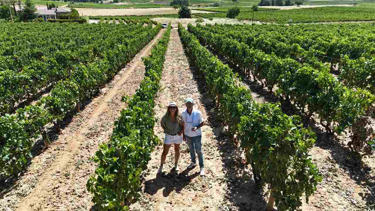 bodega Ribera del Duero