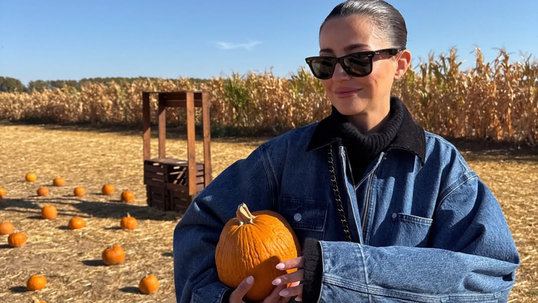 Halloween, calabaza, Alexandra Pereira