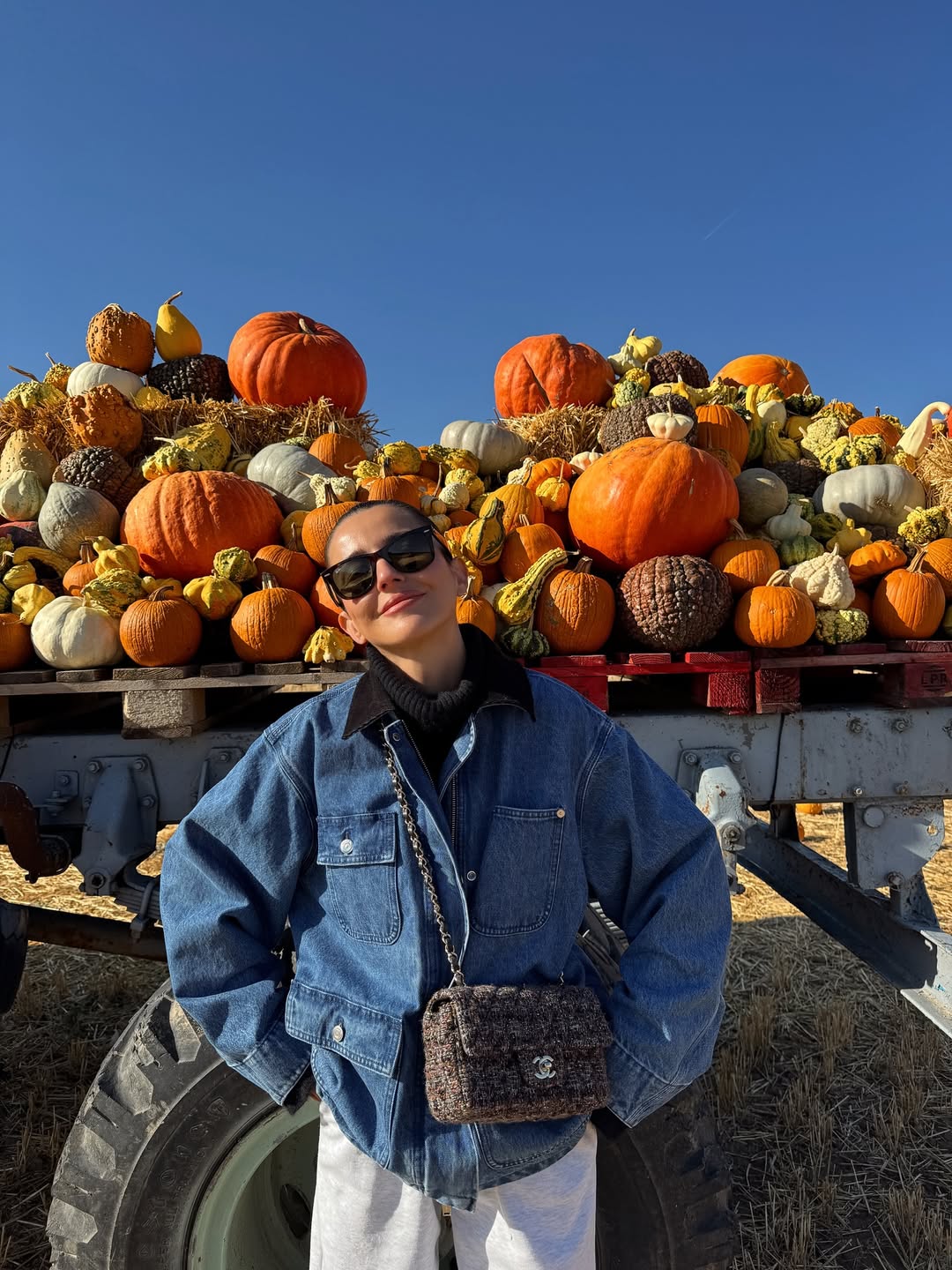 Halloween, calabaza, Alexandra Pereira