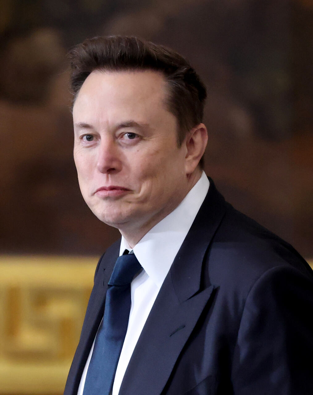 Elon Musk grokipedia