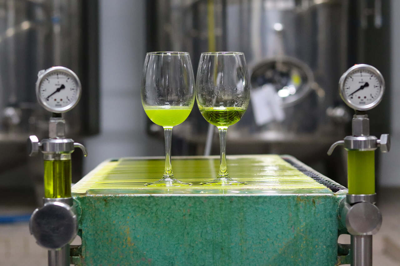 AOVE Aceite de Oliva Virgen Extra